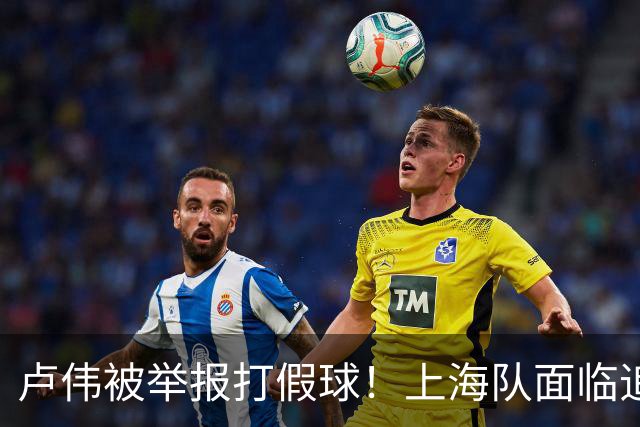 卢伟被举报打假球！上海队面临追罚，张镇麟坑惨球队